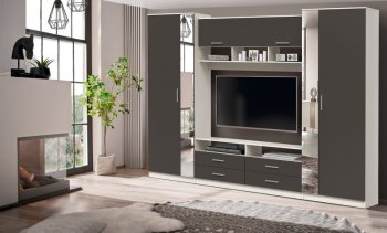 ШМЦ Вена  91.01 с зеркалом в Бердске - mebel154.com