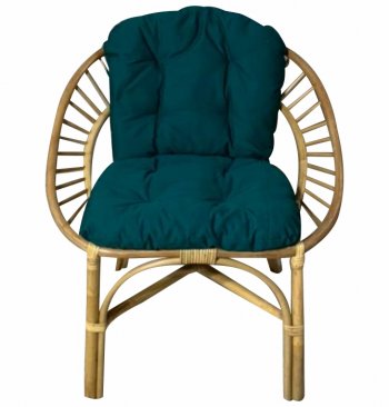 Кресло RJG-Princess (Ротанг №4, ткань JPN DRILL 034) в Бердске - mebel154.com