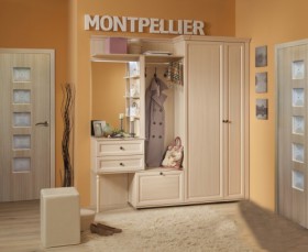 Шкаф для обуви 1 Montpellier в Бердске - mebel154.com