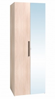 Шкаф для одежды 2-х дверный 8 Bauhaus в Бердске - mebel154.com
