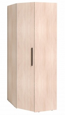 Шкаф для одежды угловой 12 Bauhaus в Бердске - mebel154.com
