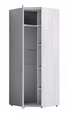 Шкаф для одежды угловой 56-2 Paola в Бердске - mebel154.com