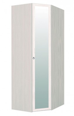 Шкаф для одежды угловой с зеркалом 56-2 Марсель в Бердске - mebel154.com